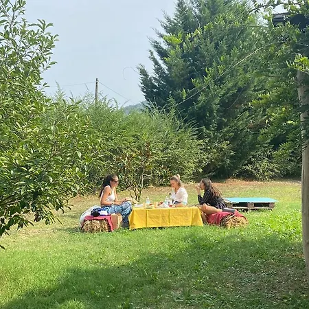 Lovely In With Kitchen Dom wakacyjny