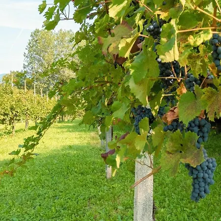 Lovely In With Kitchen * Cessole